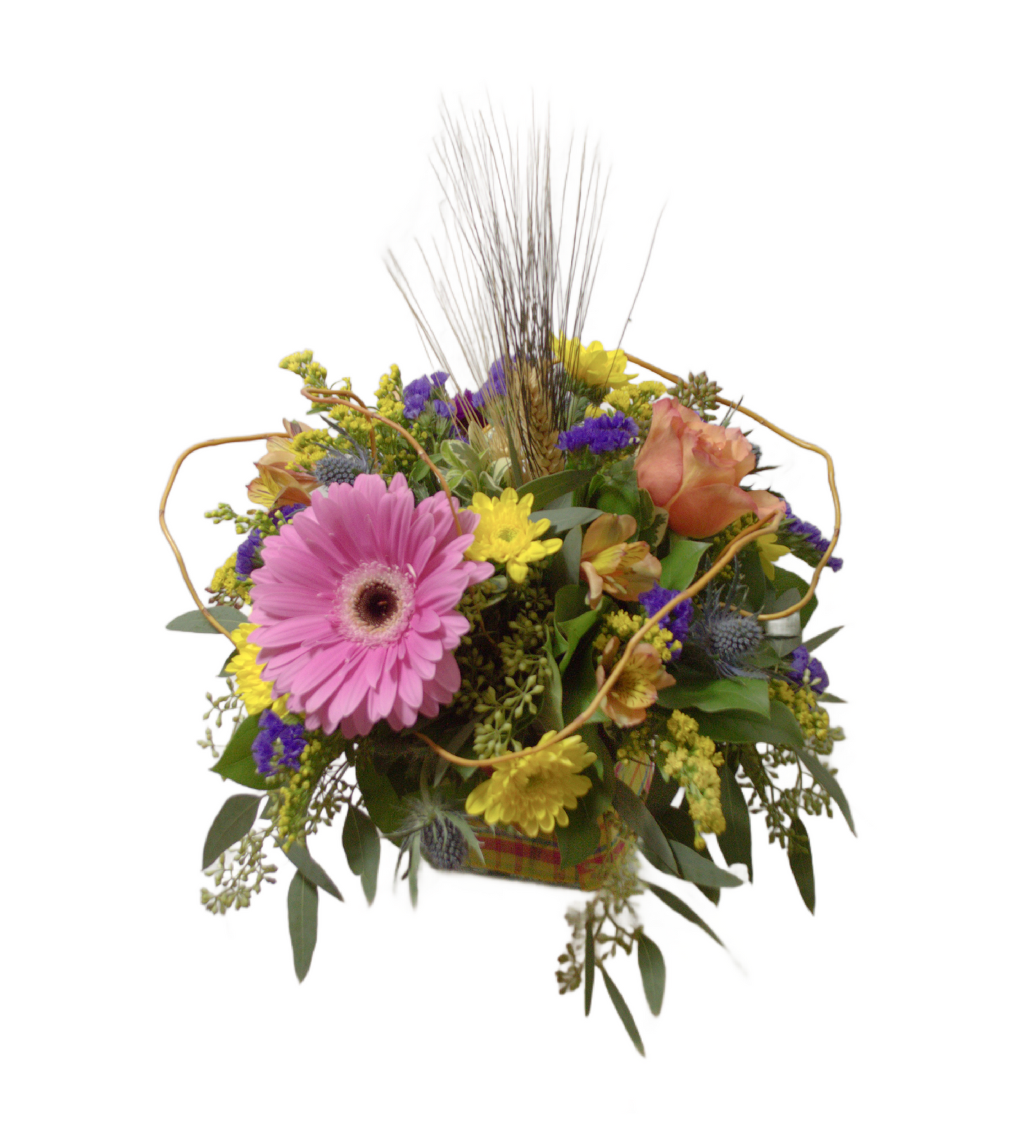 Alberta Flower Symphony