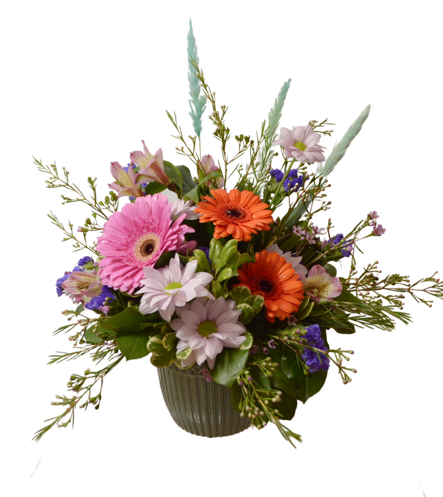 Cheerful Celebration