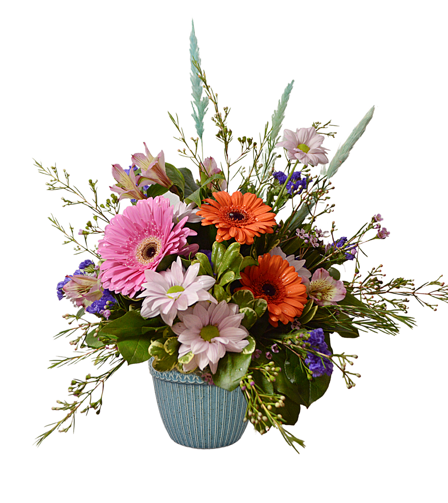 Cheerful Celebration