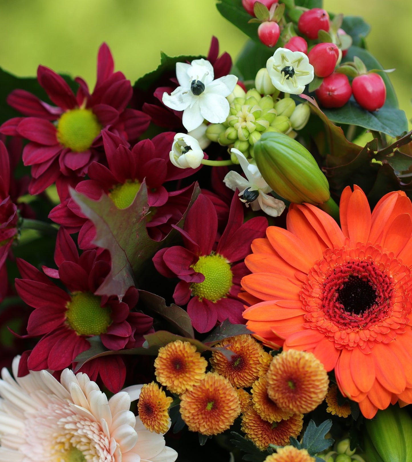 Designers Choice Arrangement