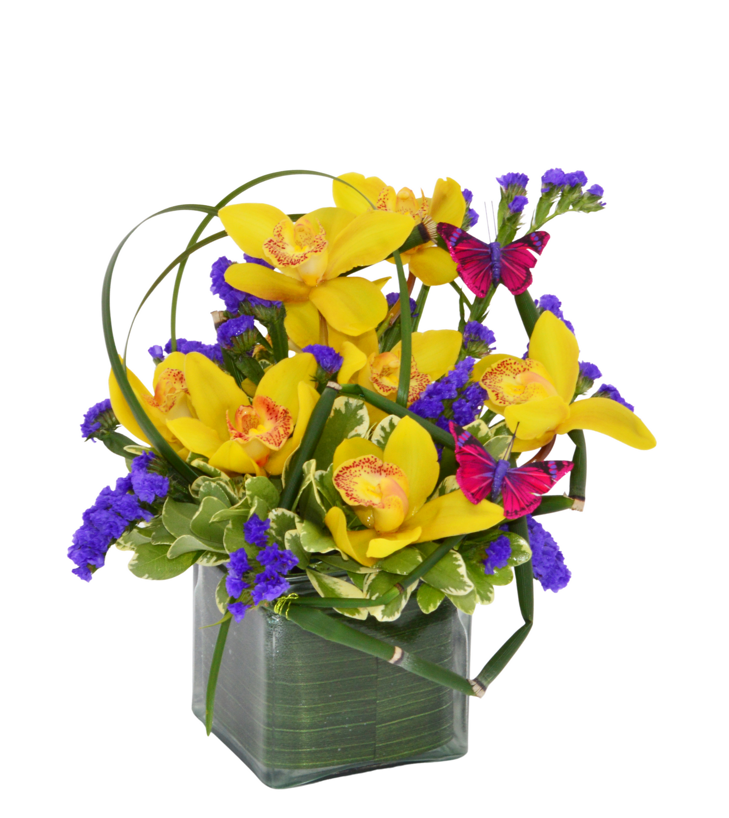 Orchid Fantasy