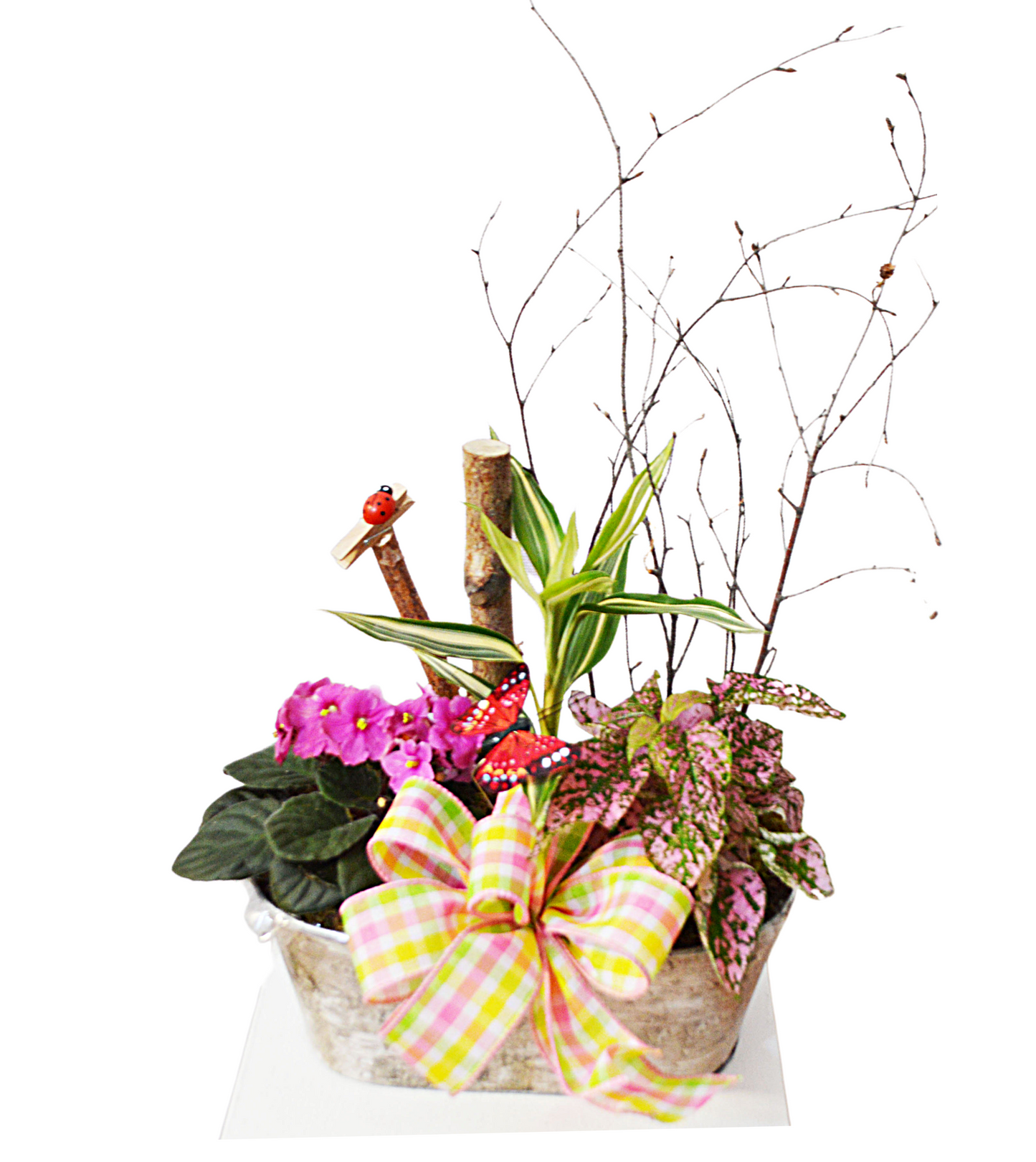 Stylish Planter