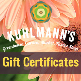 Gift Certificate