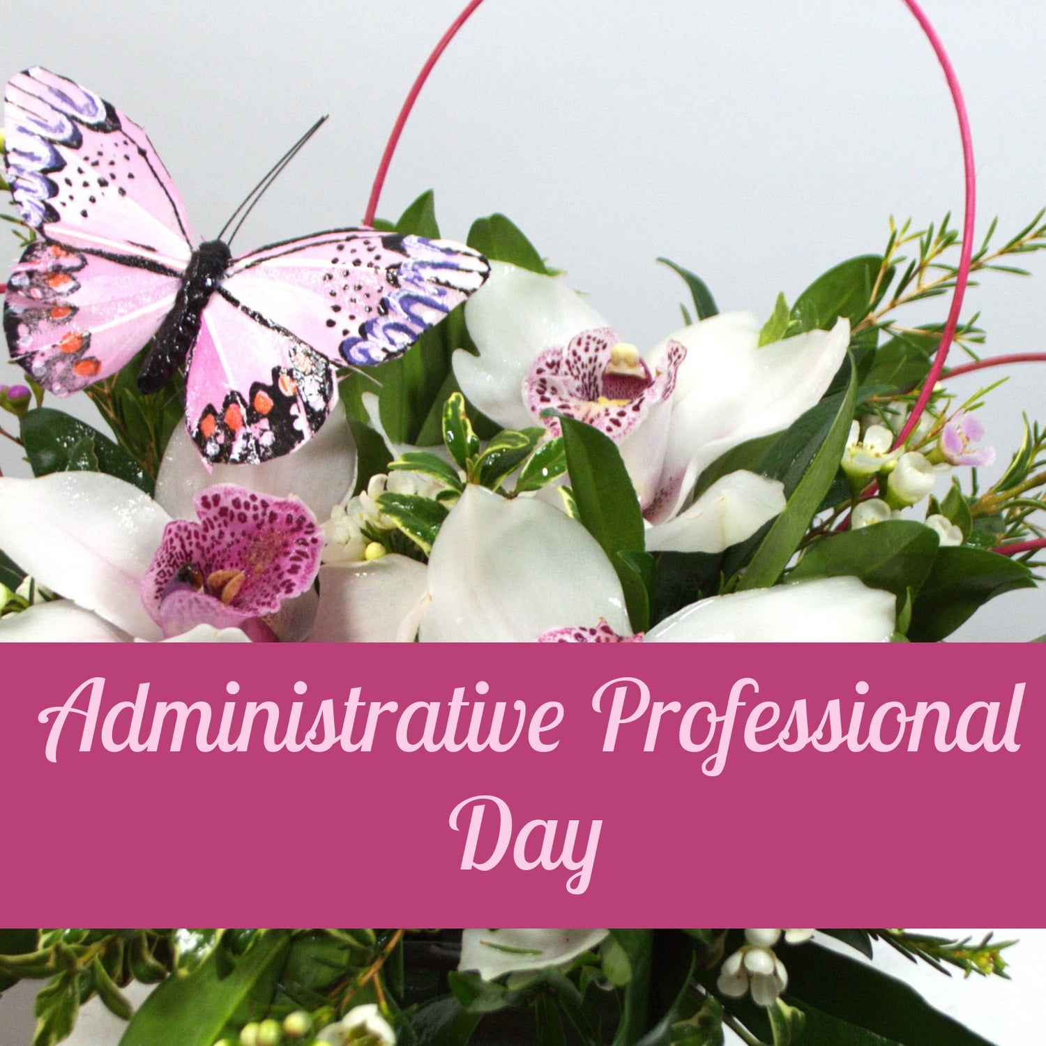 Administrative Professional  Day