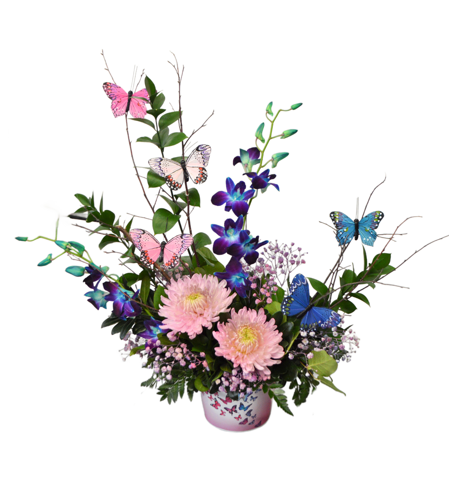 Butterflies & Blooms