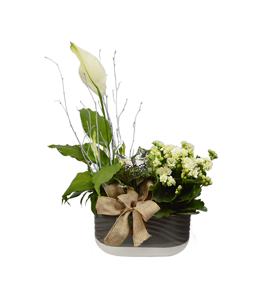 Classic Elegance Planter