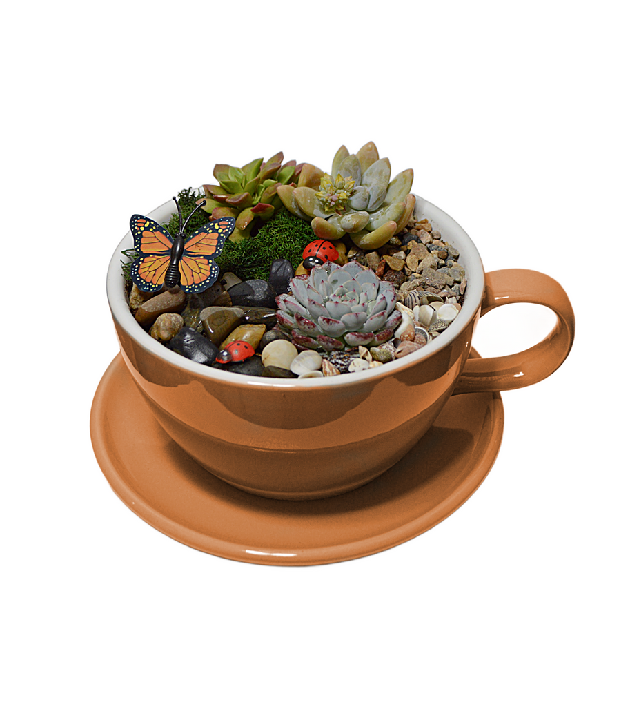 Teacup Garden