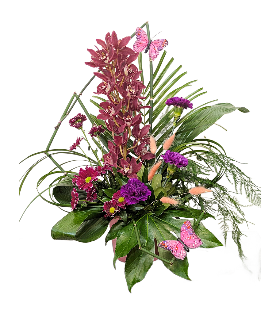 Twisted Orchid
