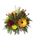 Alberta Winter Treasures