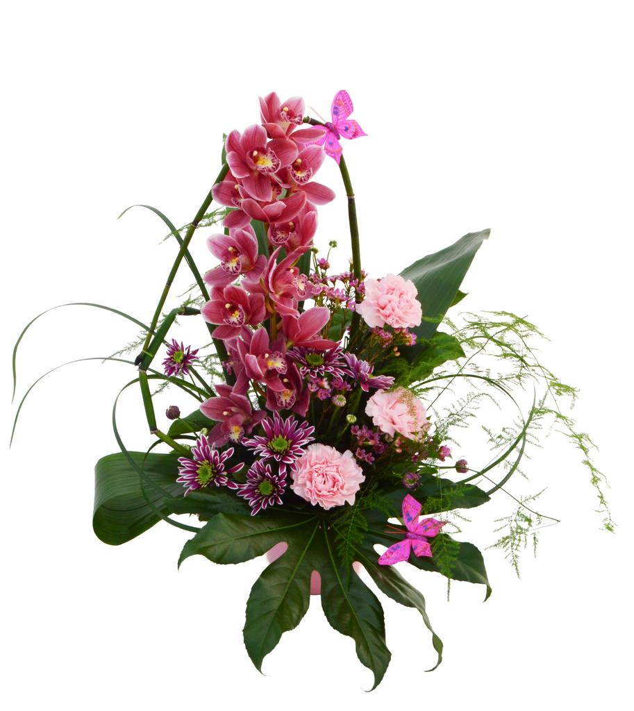 Twisted Orchid